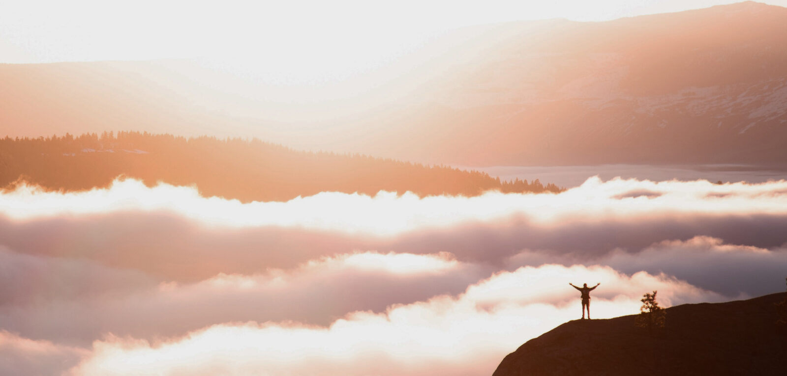 Our DNA Background Image