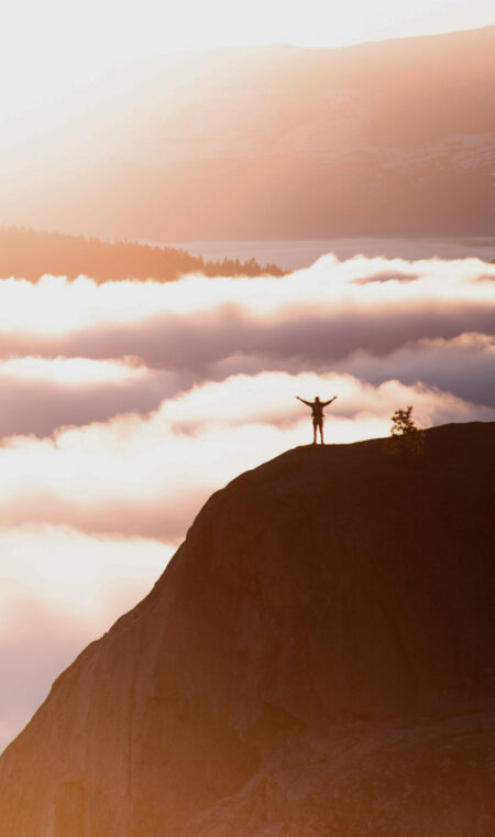 Brand Ambassador logo